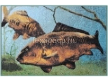 SZŐNYEG 3D PONTY EXTRA