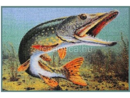SZŐNYEG 3D CSUKA