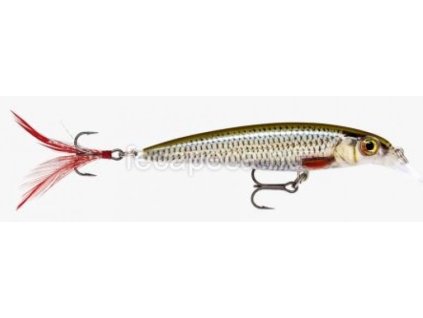 rapala