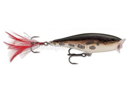 rapala