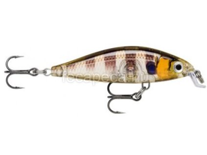 rapala