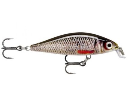 rapala
