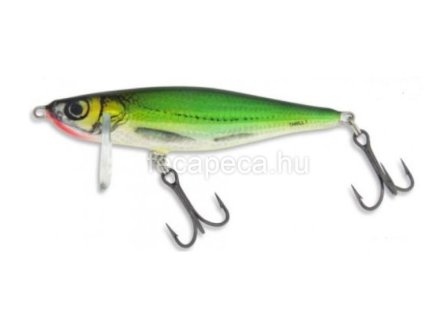 salmo