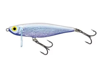 salmo