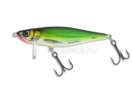 salmo