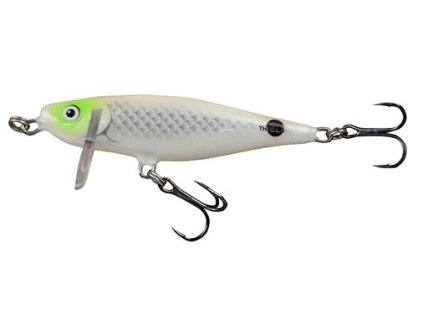salmo