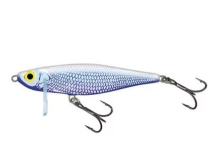 salmo