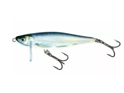 salmo