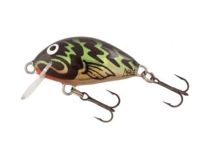 salmo