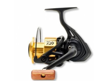 DAIWA GS LTD 3000