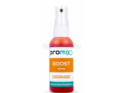 PROMIX GOOST SPRAY ORANGE