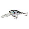 CORMORAN COR F12 DOTTED ROACH