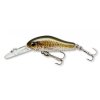 CORMORAN COR F2 CARP
