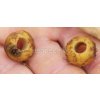 CARP SPIRIT BOILIE DRILL 6MM