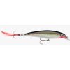 rapala