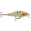 rapala