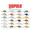 rapala
