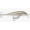 rapala