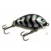 salmo
