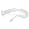 QUANTUM 4STREET WAG 7.6CM WHITY