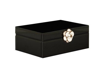 Úložný box Vivy čierny malý