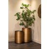 Kvetináč Dira brúsená zlatá 50Ø