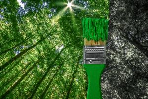 Greenwashing: Co to je a jak ho poznat?