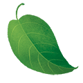 fe-leaf