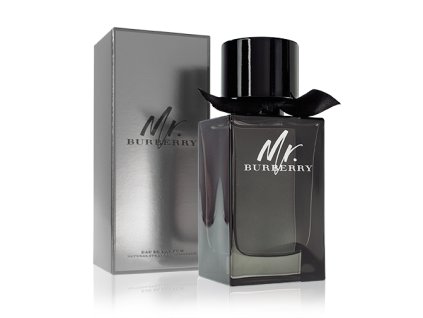 burberry mr burberry