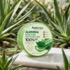 farmstay aloe vera