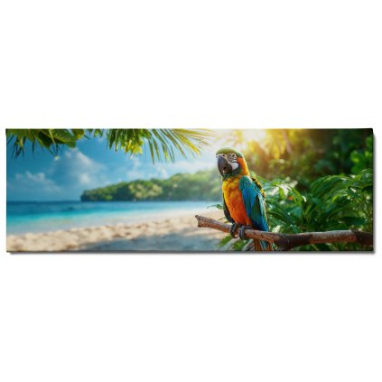 Papoušek Ara hlídkuje na pláži ,Obraz na plátně náhled