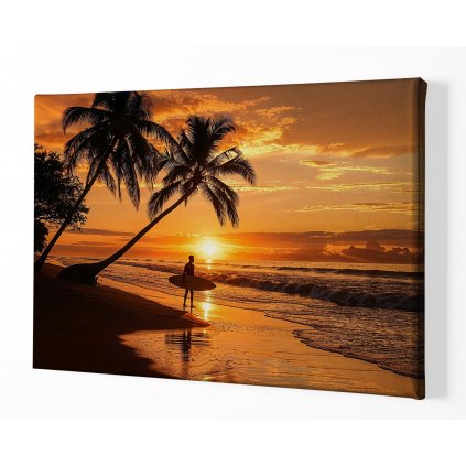 Surfař pod palmami při západu slunce ,perspektiva