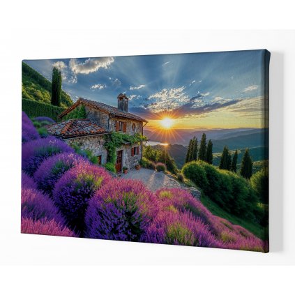 Když levandule v Provence voní ,perspektiva