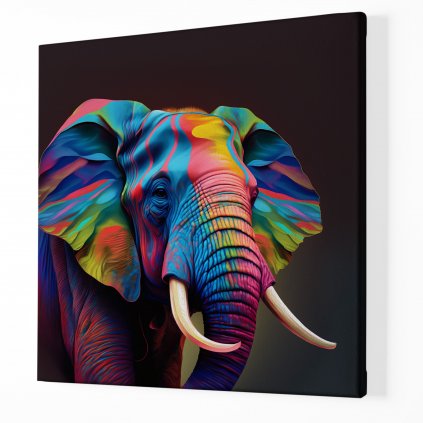 Barevný slon ,Obraz na plátně perspektiva