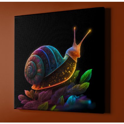 snail colorful sdjkfjsdf1565