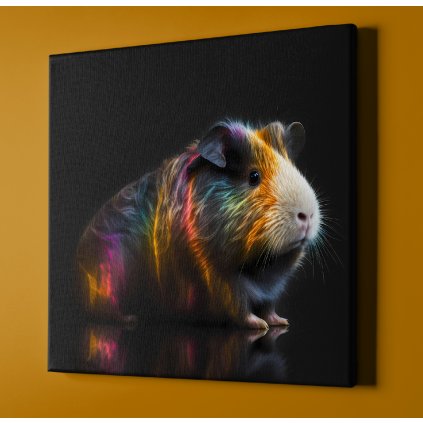 guinea pig jdfjsd2