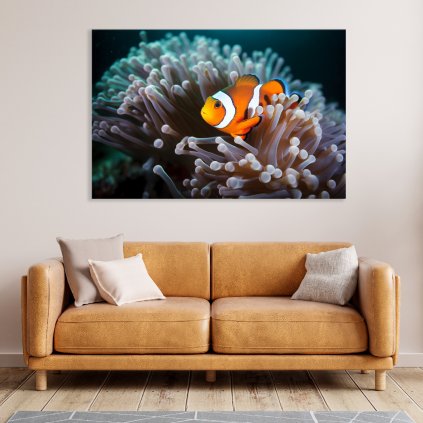 10035 Ocellaris Clownfish nemo m02