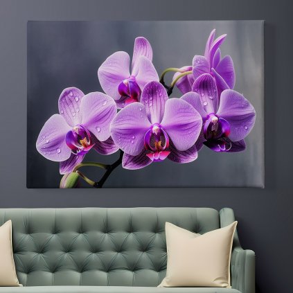 c1 obraz na platne fialova orchidej kvet kvetina kvetiny