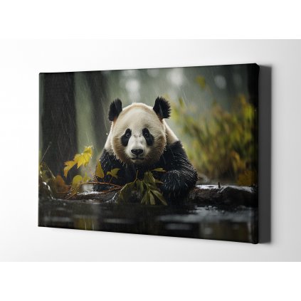 7586 01 panda dest voda priroda zvire bambus obraz na platne