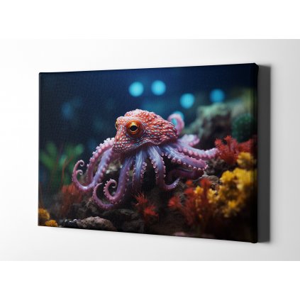 7589 01 chobotnice morsky koral more velka mala obraz na platne