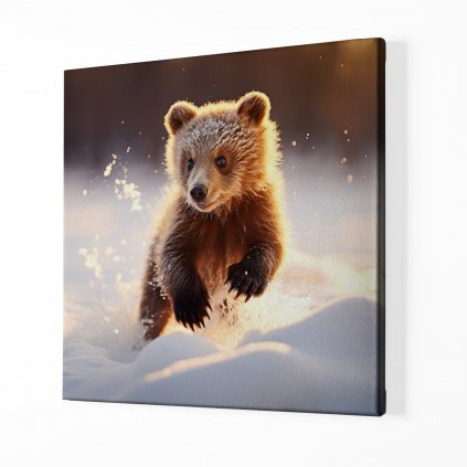 01 7888 medved medvide mlade divoka priroda snih zima les vlocky obraz na platne