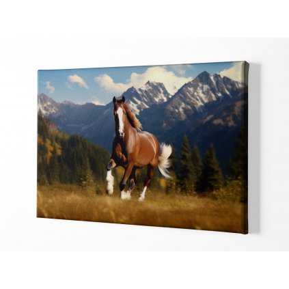 01 7996 divoky kun kone konem horse krajina obraz na platne