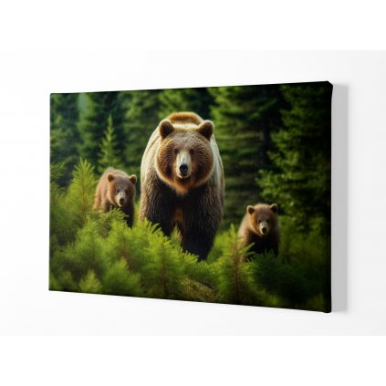 01 8005 medved grizzly rodina jehlicnaty les mlade priroda divocina obraz na platne
