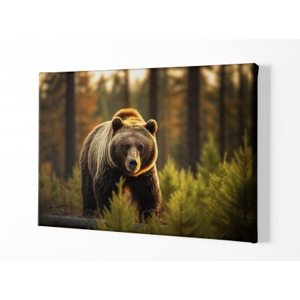 01 8014 medved hnedy grizzly jehlicnate lesy priroda divocina obraz na platne