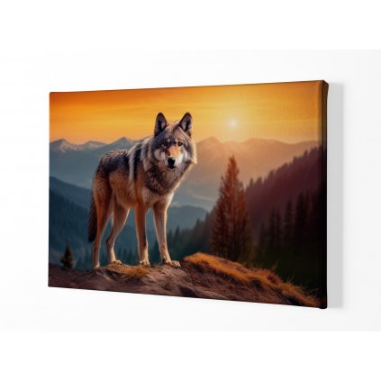 01 8029 vlk vlci zapad slunce hory les obraz na platne