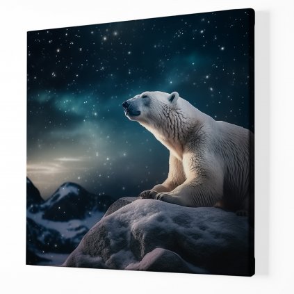 01 8289 ledni medved zima snih noc hvezdy severni pol obraz na platne