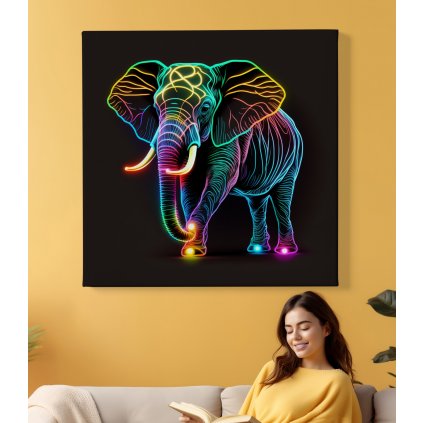01 8412 barevny zarici slon slune chobot kly africky indicky obraz na platne