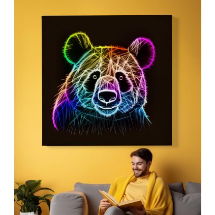 02 8421 barevna panda medved medvidek hlava obraz na platne
