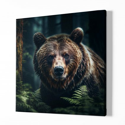 Medvěd v kapradí, Králové divočiny 8434 01 Obraz na plátně samotný na bílé zdi náhled