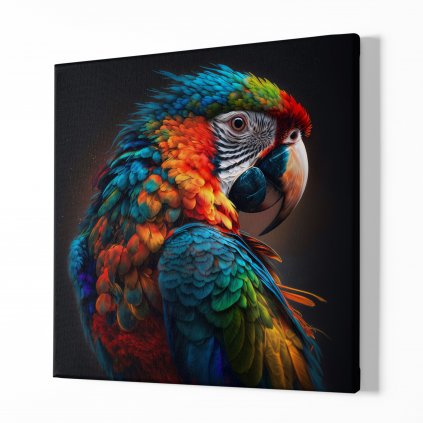 Papoušek Ara, Barvy pralesa, Makro portrét, Králové divočiny 8526 01 Obraz na plátně samotný na bílé zdi náhled